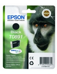 Cartucho Epson T0891 negro