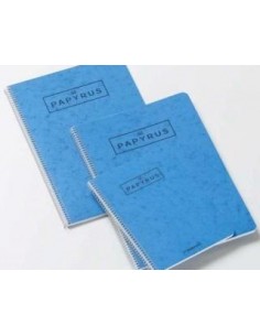 Cuadernos PAPYRUS azul Fº...